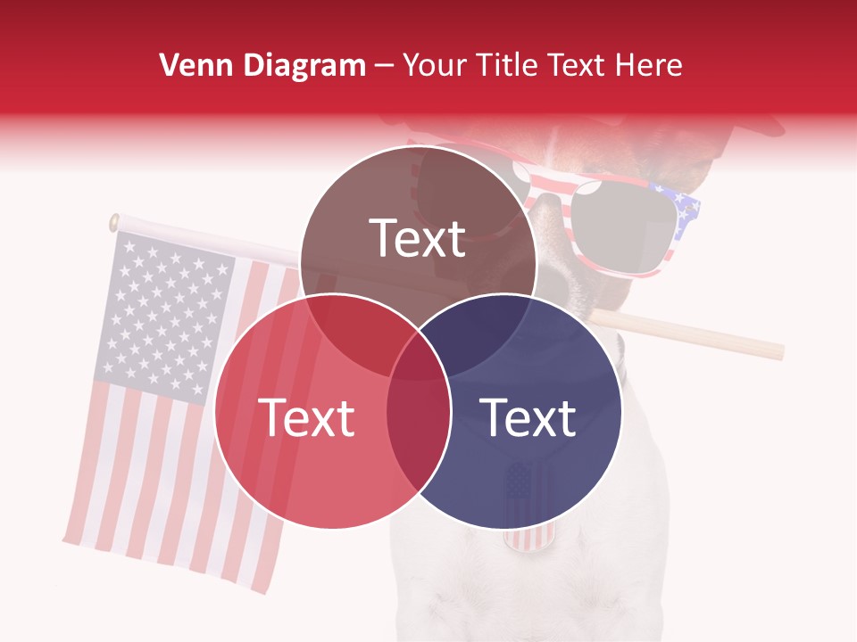 States Honor Pretty PowerPoint Template