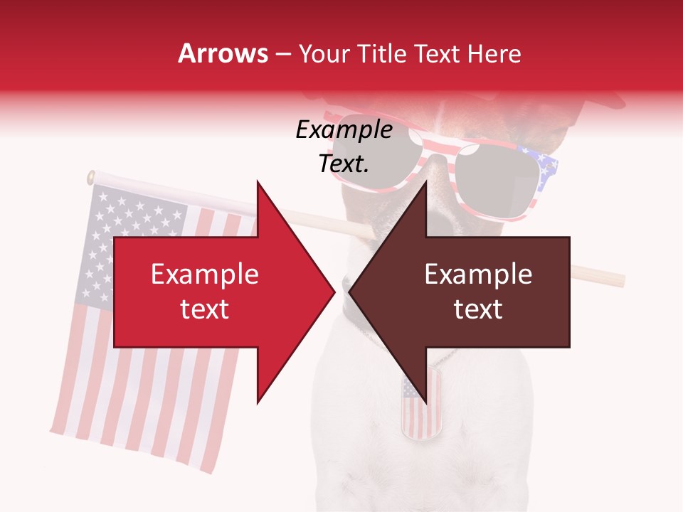 States Honor Pretty PowerPoint Template