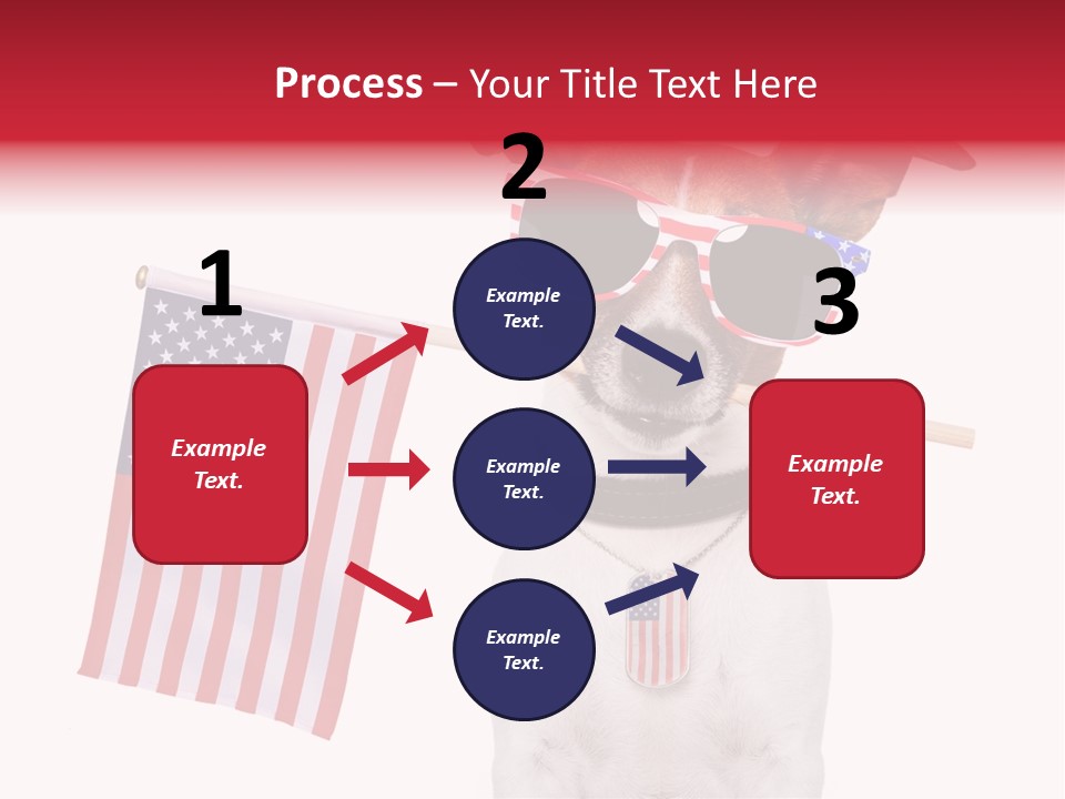 States Honor Pretty PowerPoint Template