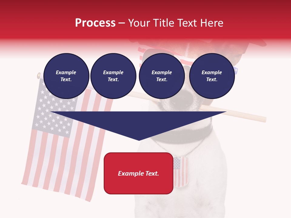 States Honor Pretty PowerPoint Template