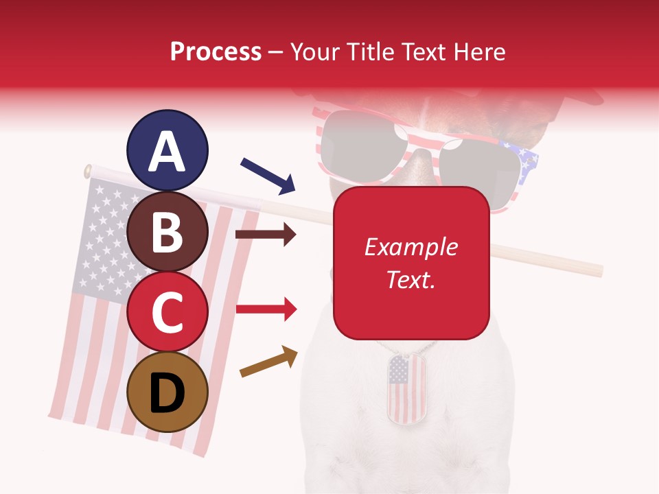 States Honor Pretty PowerPoint Template