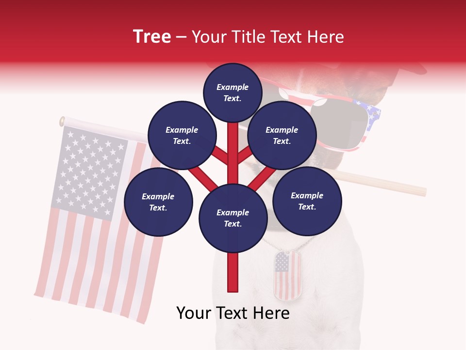 States Honor Pretty PowerPoint Template