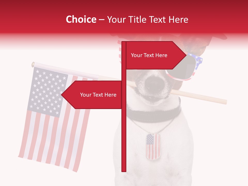 States Honor Pretty PowerPoint Template