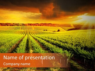 Office Di Cu Ion Board PowerPoint Template