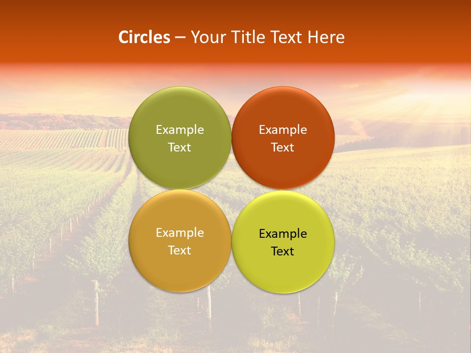 Office Di Cu Ion Board PowerPoint Template