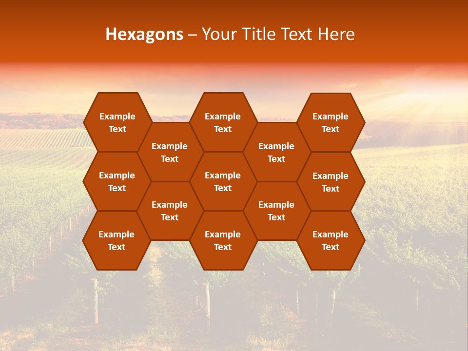 Office Di Cu Ion Board PowerPoint Template