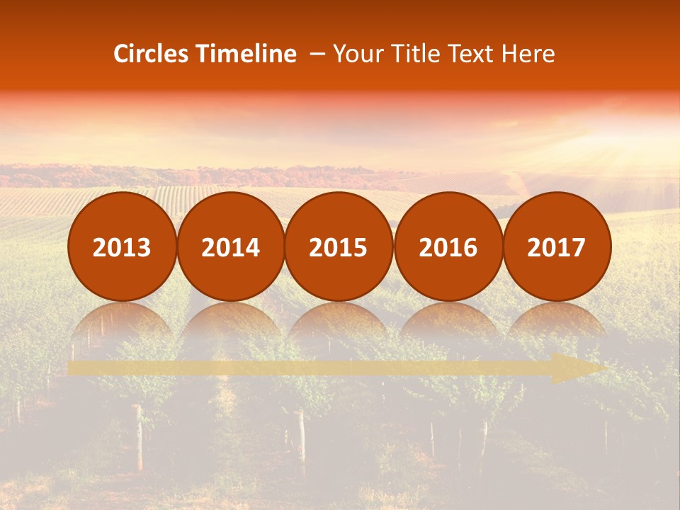 Office Di Cu Ion Board PowerPoint Template