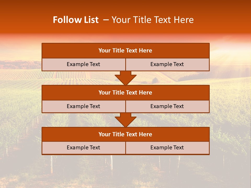 Office Di Cu Ion Board PowerPoint Template