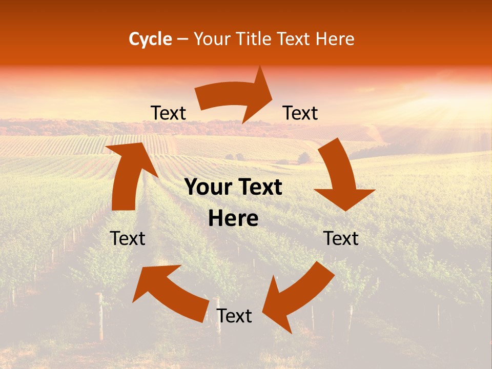 Office Di Cu Ion Board PowerPoint Template