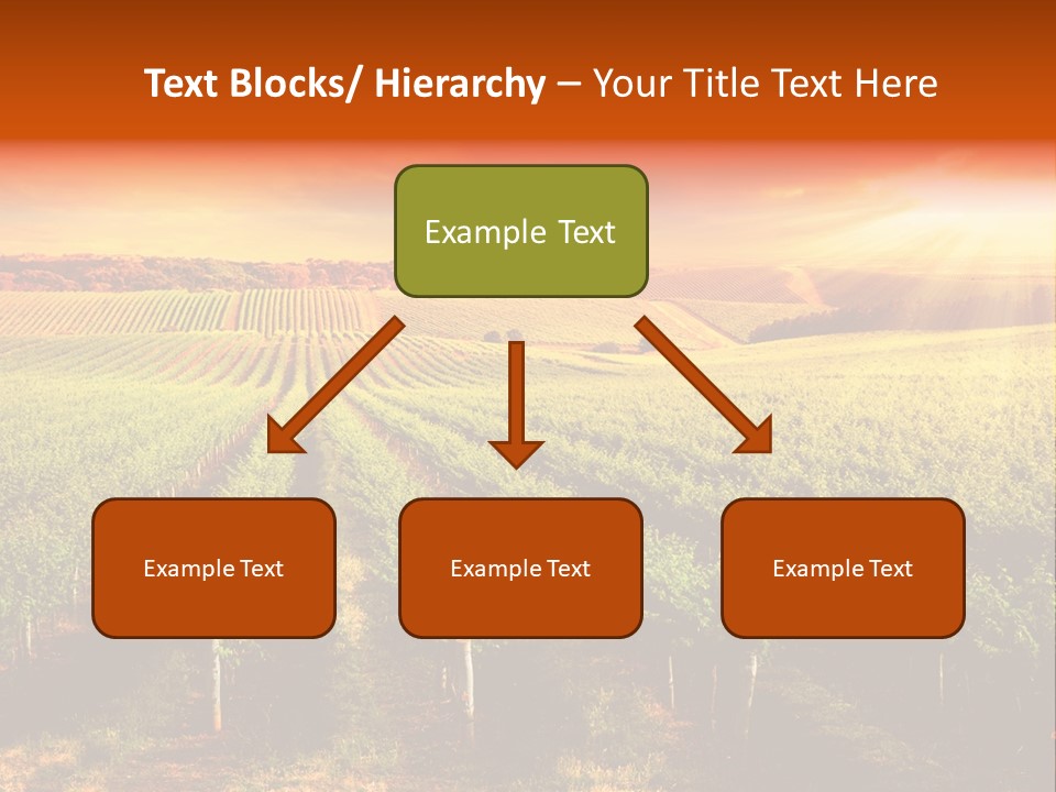 Office Di Cu Ion Board PowerPoint Template