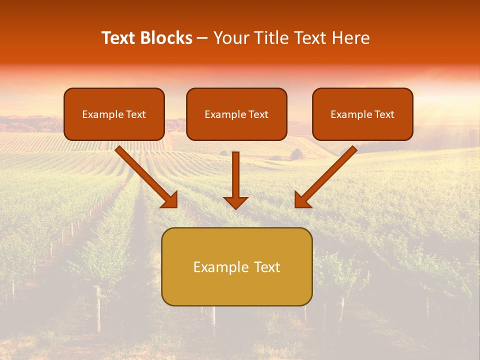 Office Di Cu Ion Board PowerPoint Template