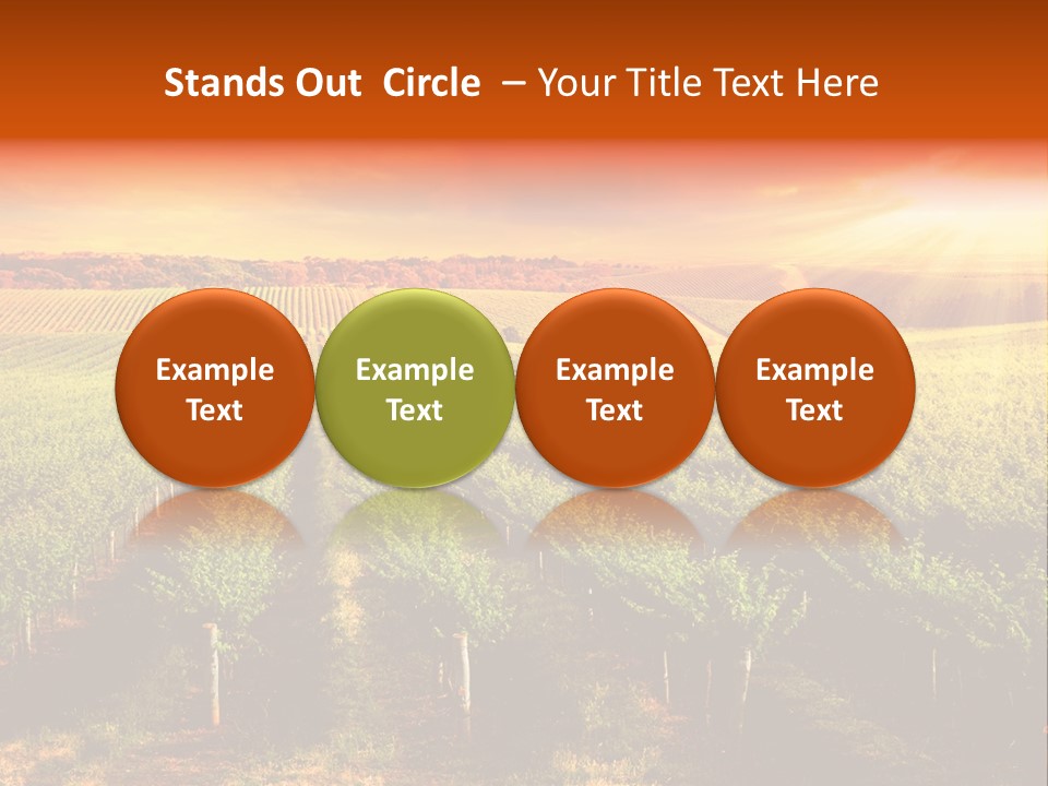 Office Di Cu Ion Board PowerPoint Template