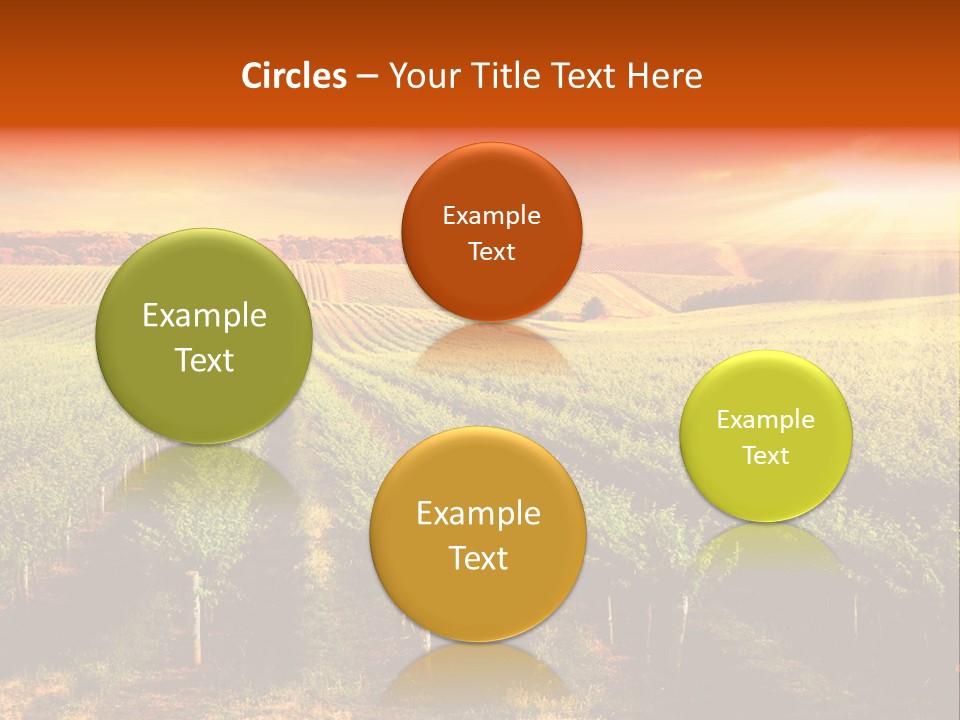 Office Di Cu Ion Board PowerPoint Template