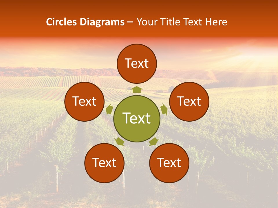 Office Di Cu Ion Board PowerPoint Template