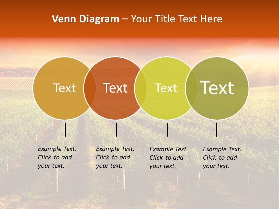 Office Di Cu Ion Board PowerPoint Template