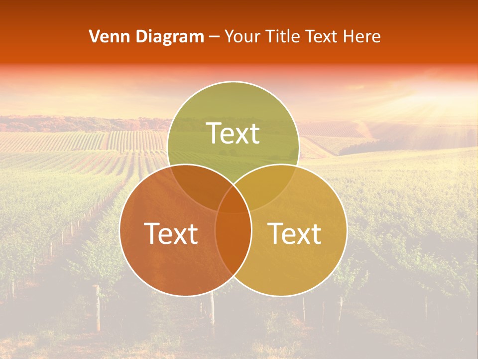 Office Di Cu Ion Board PowerPoint Template