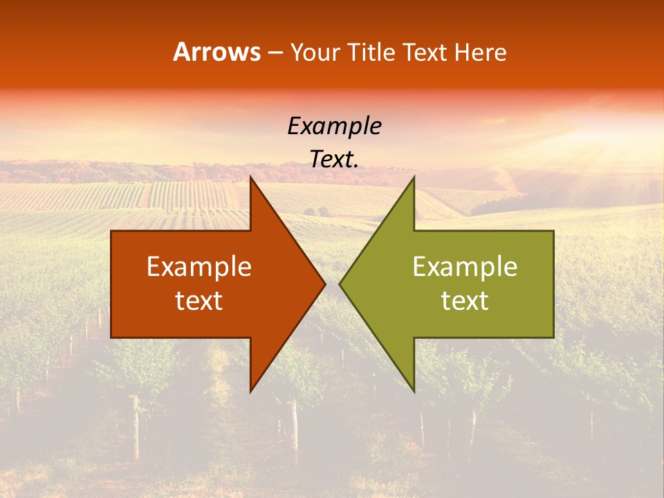 Office Di Cu Ion Board PowerPoint Template