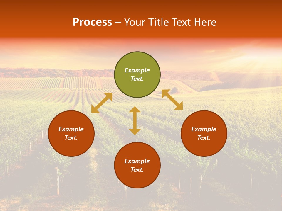 Office Di Cu Ion Board PowerPoint Template