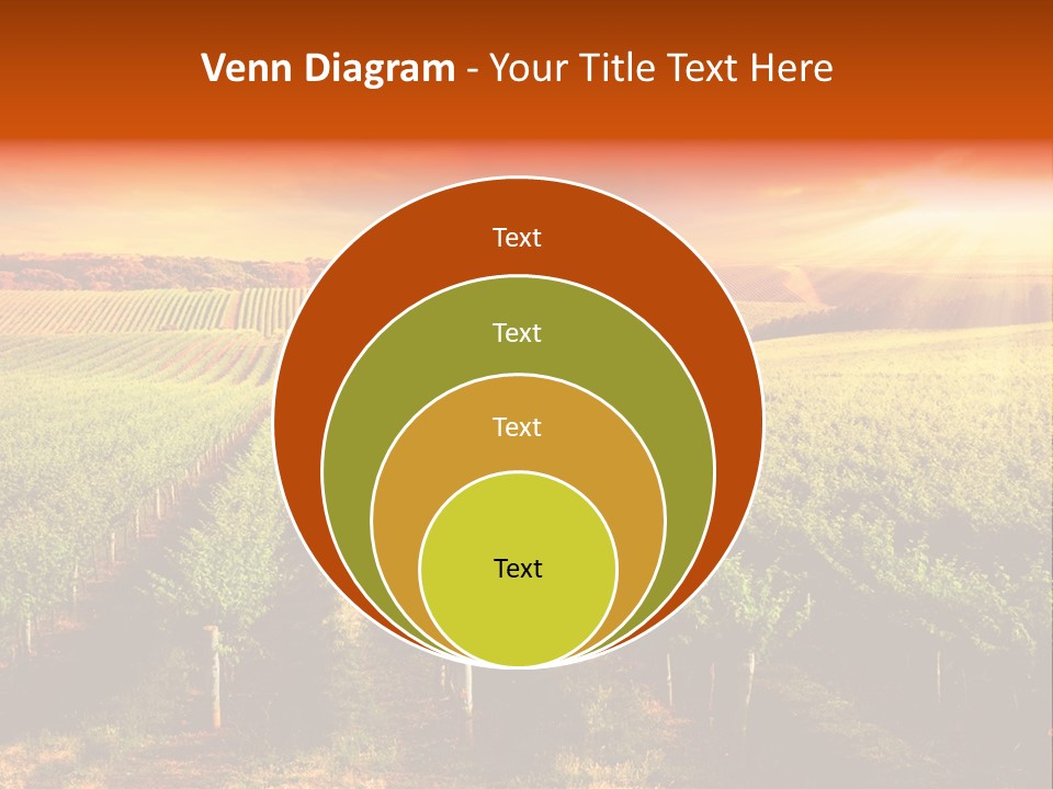 Office Di Cu Ion Board PowerPoint Template