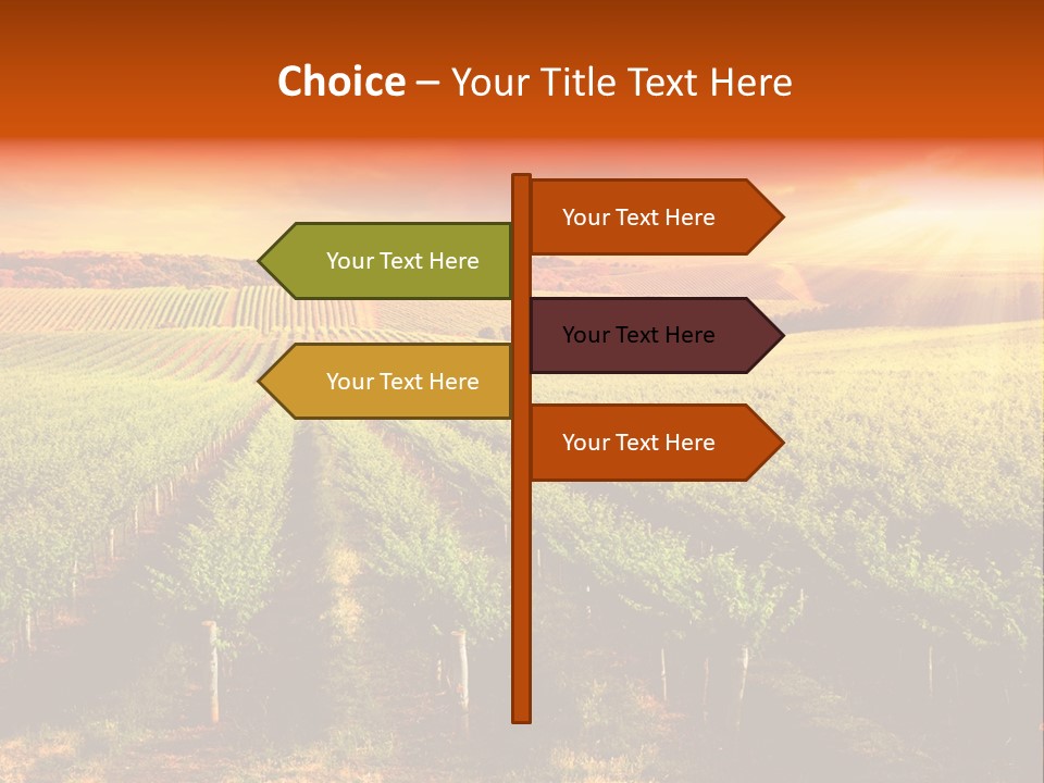 Office Di Cu Ion Board PowerPoint Template