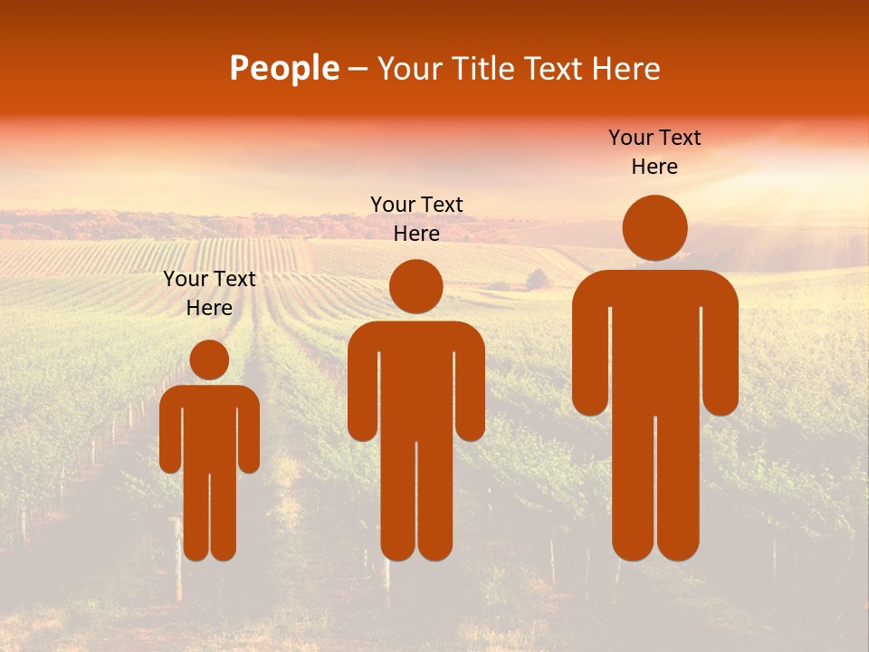 Office Di Cu Ion Board PowerPoint Template