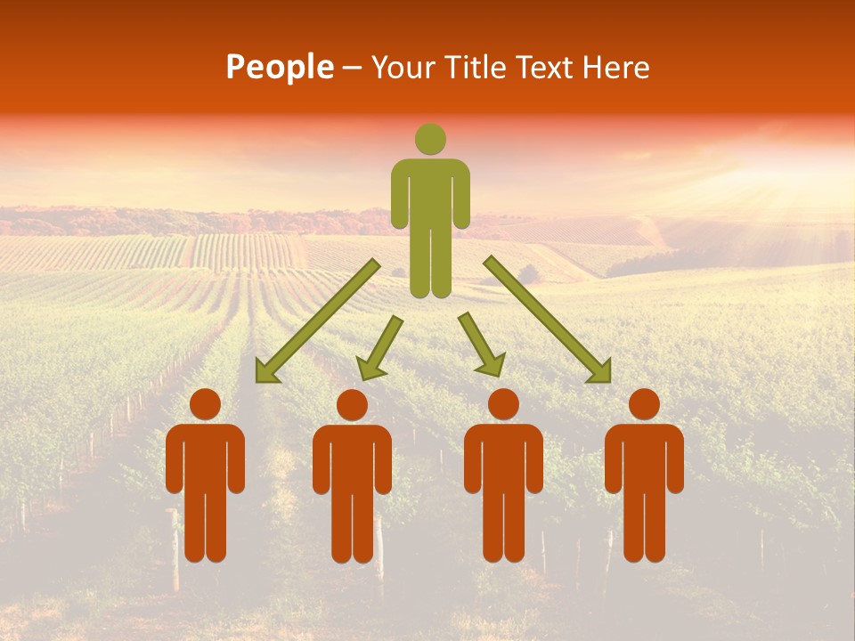 Office Di Cu Ion Board PowerPoint Template