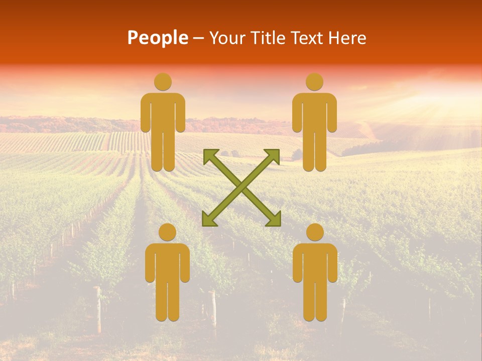 Office Di Cu Ion Board PowerPoint Template