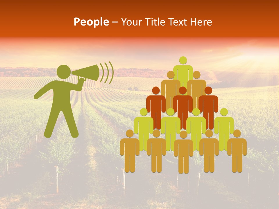 Office Di Cu Ion Board PowerPoint Template