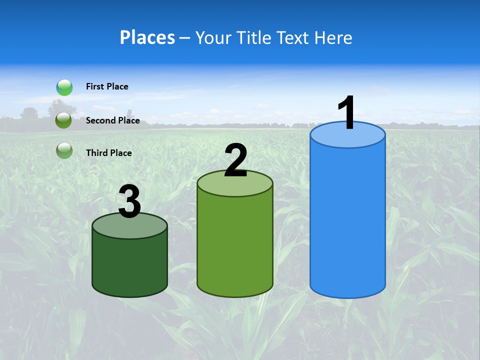 Spring Background Corn PowerPoint Template