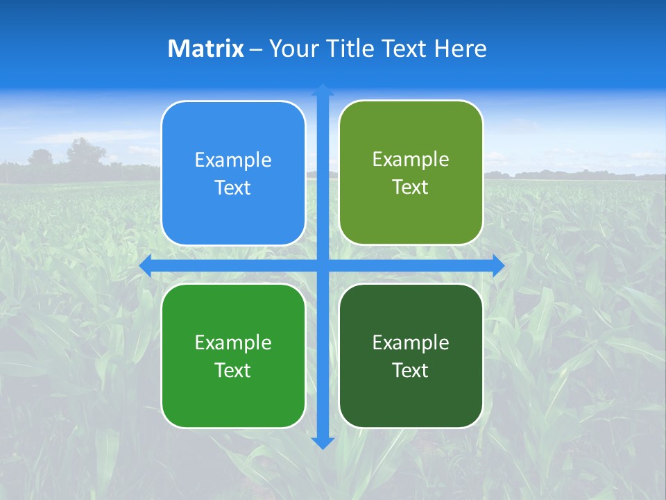 Spring Background Corn PowerPoint Template