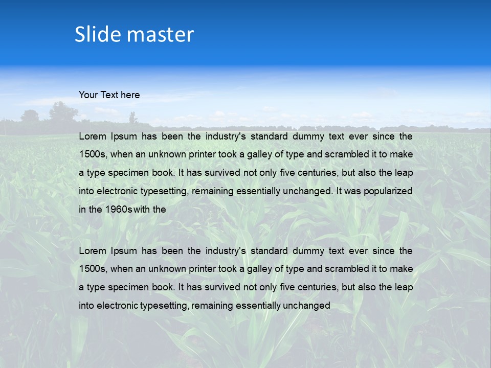 Spring Background Corn PowerPoint Template