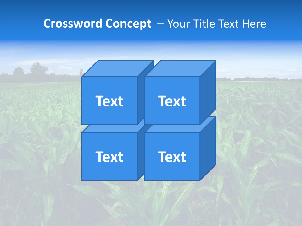 Spring Background Corn PowerPoint Template