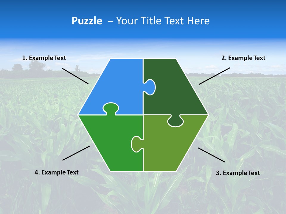 Spring Background Corn PowerPoint Template