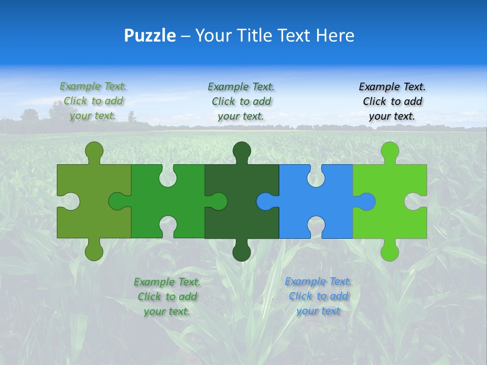 Spring Background Corn PowerPoint Template