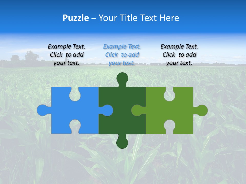 Spring Background Corn PowerPoint Template