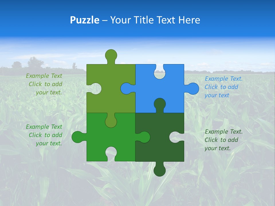 Spring Background Corn PowerPoint Template