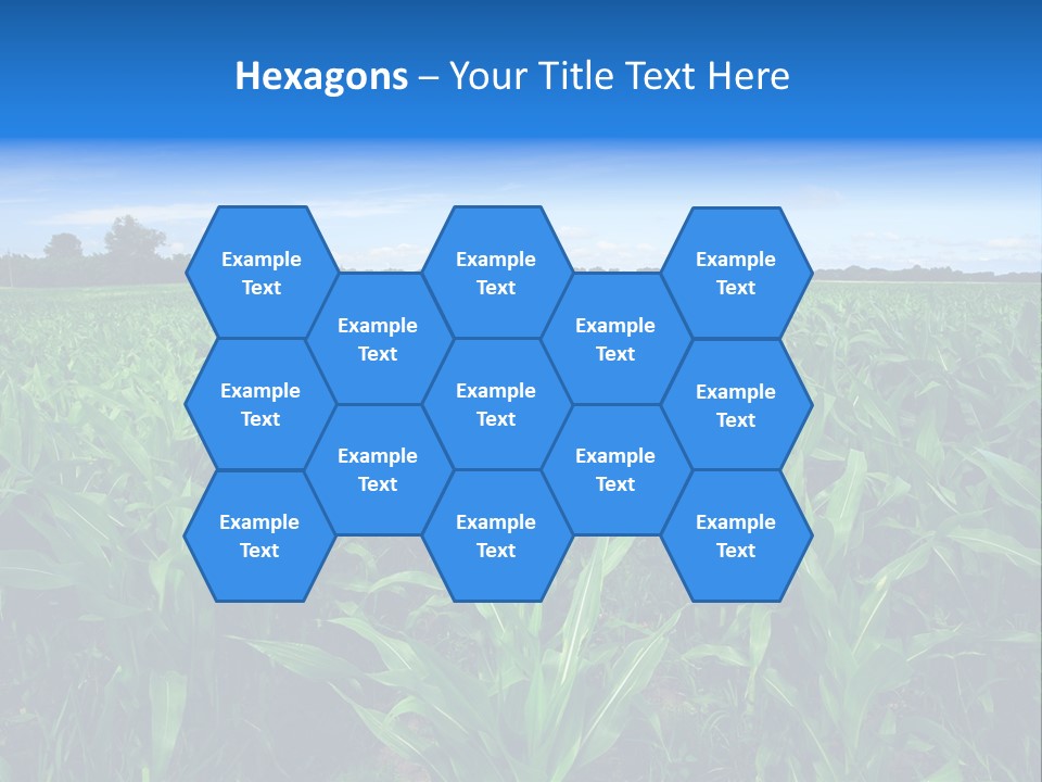 Spring Background Corn PowerPoint Template