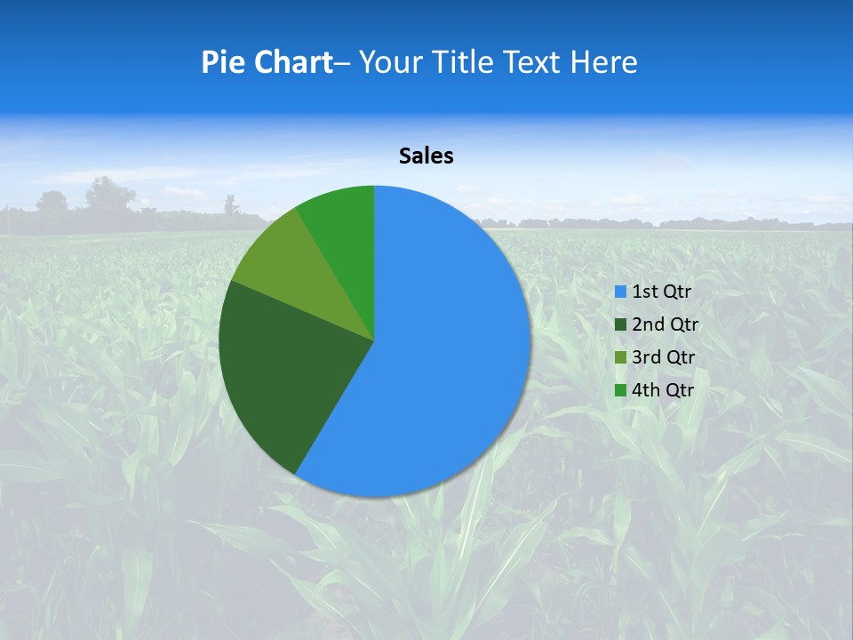 Spring Background Corn PowerPoint Template