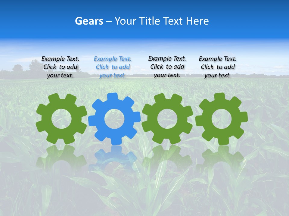 Spring Background Corn PowerPoint Template