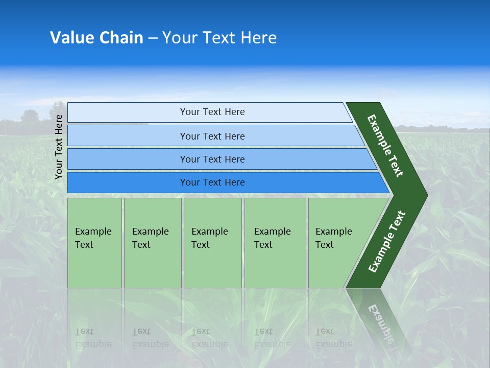 Spring Background Corn PowerPoint Template