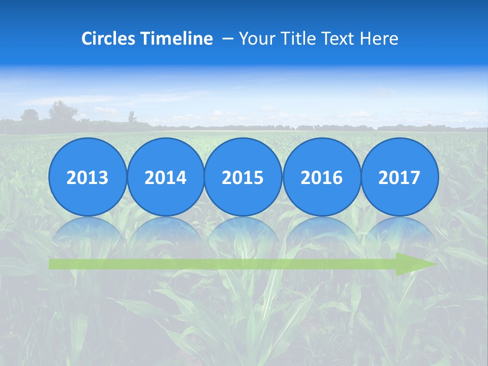 Spring Background Corn PowerPoint Template