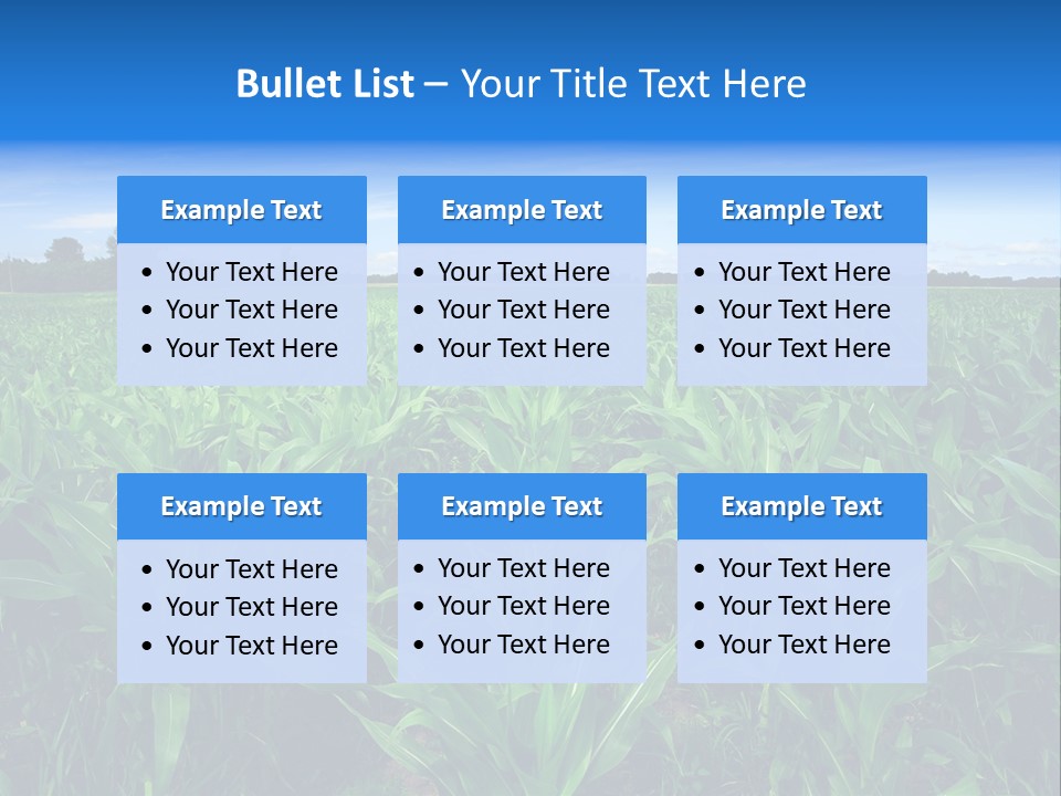 Spring Background Corn PowerPoint Template