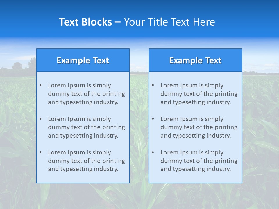 Spring Background Corn PowerPoint Template