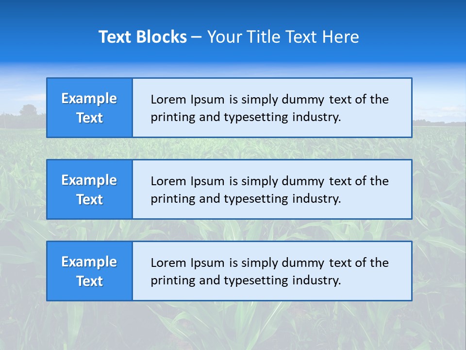 Spring Background Corn PowerPoint Template