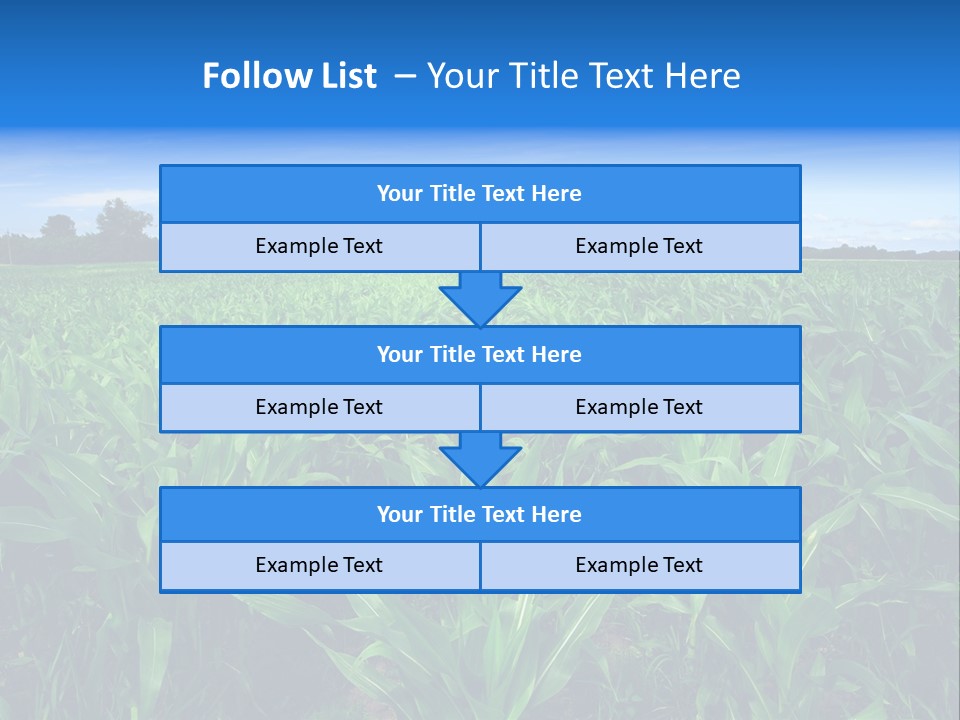 Spring Background Corn PowerPoint Template