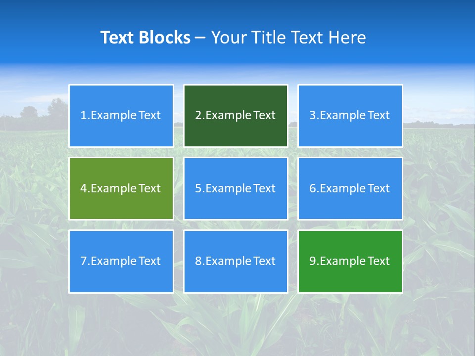 Spring Background Corn PowerPoint Template