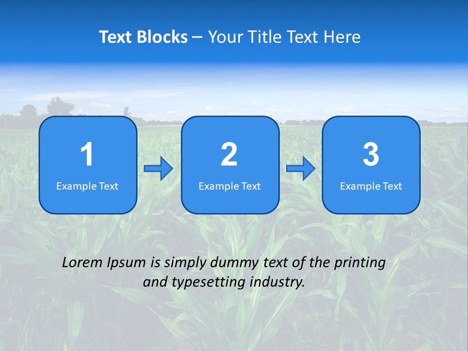 Spring Background Corn PowerPoint Template