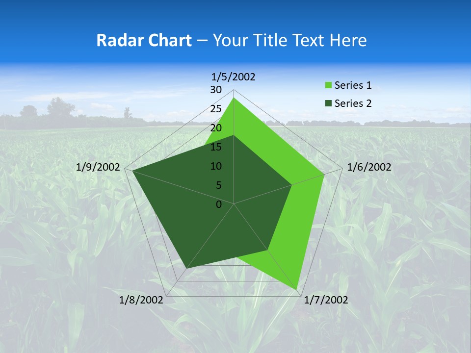 Spring Background Corn PowerPoint Template
