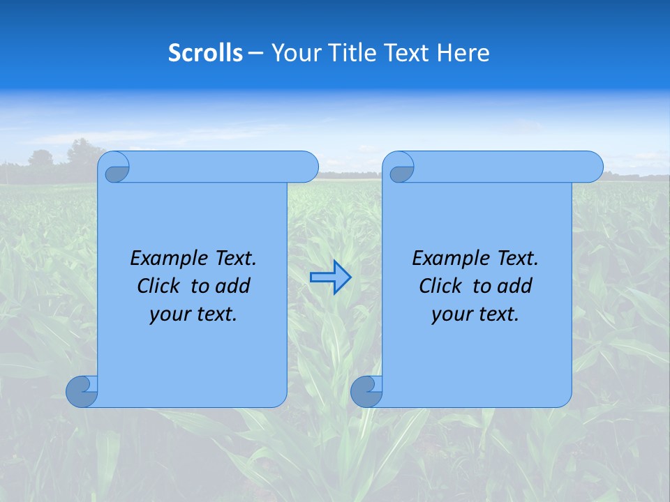 Spring Background Corn PowerPoint Template