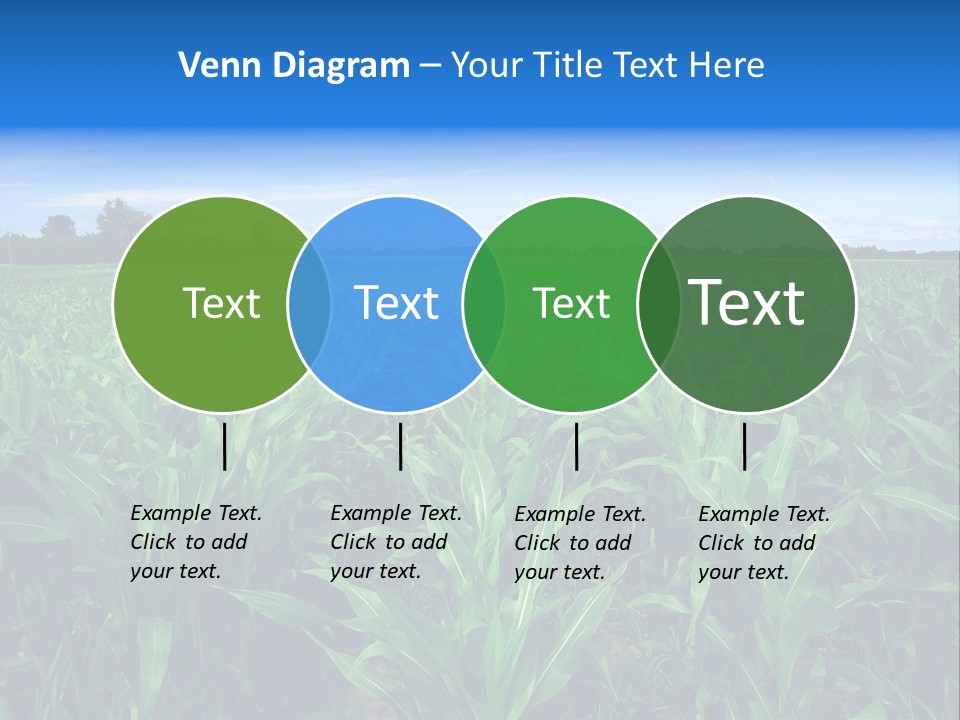 Spring Background Corn PowerPoint Template